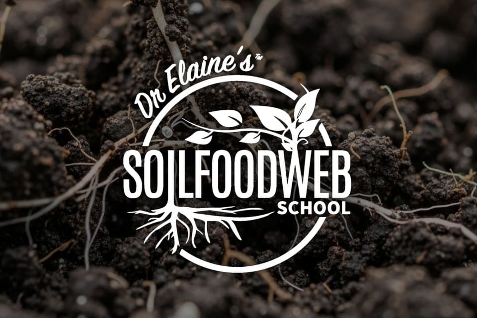 Soil Food Web School — design work by Peaceful Media
