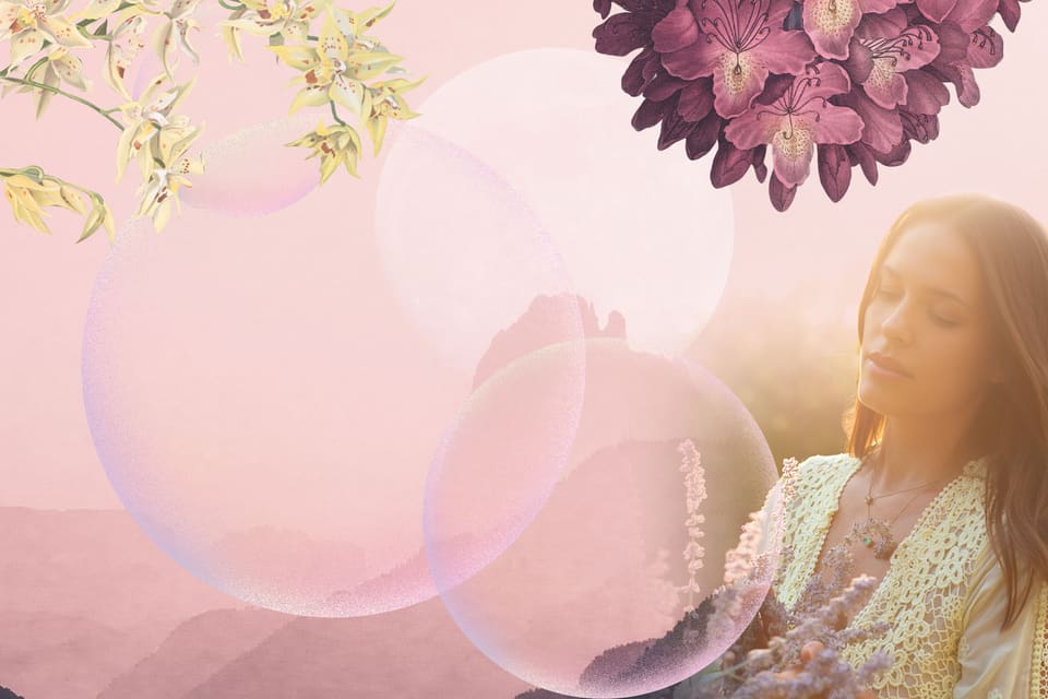 Wonders of Wisdom — design work by Peaceful Media
