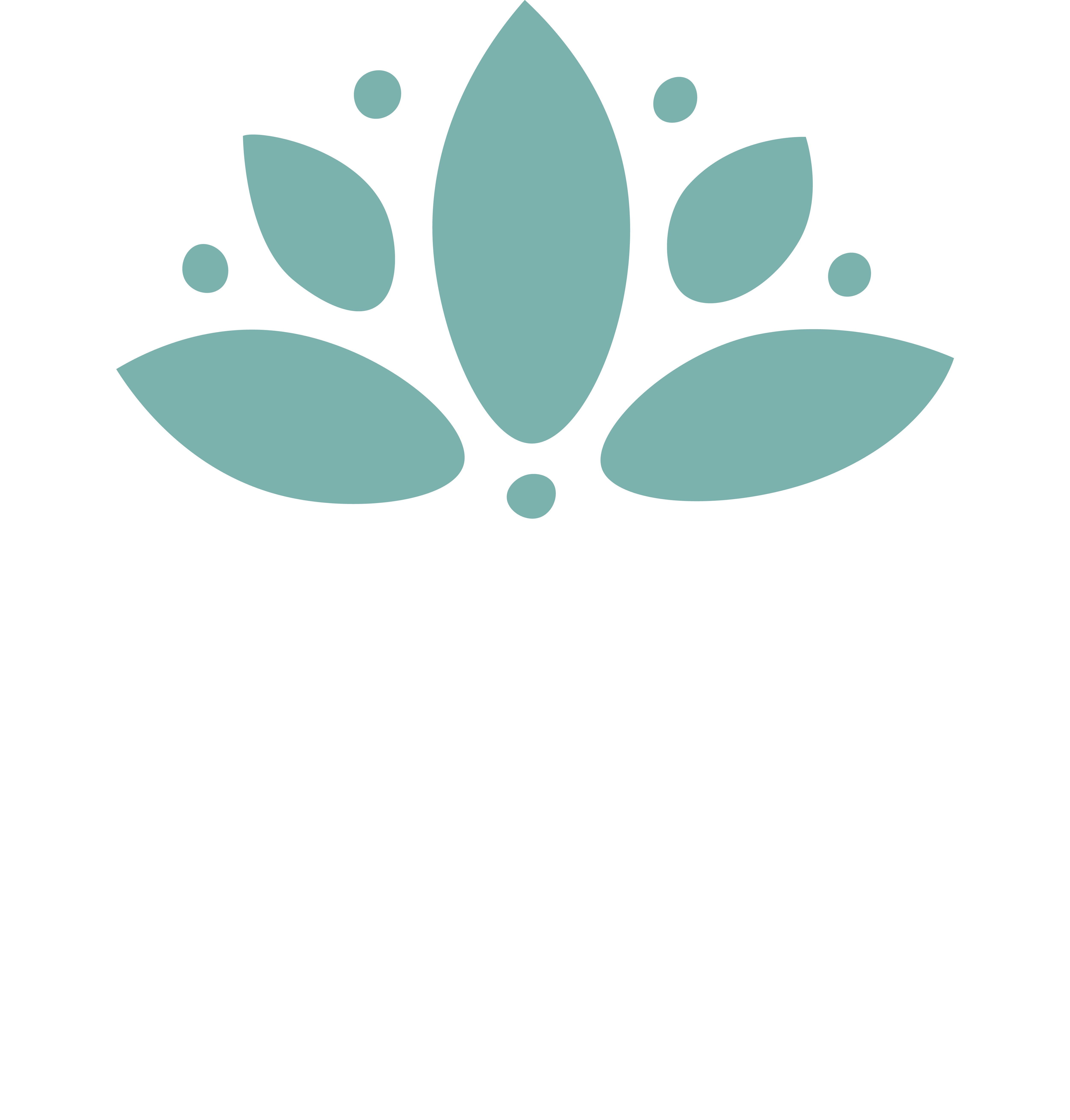 Peaceful Media